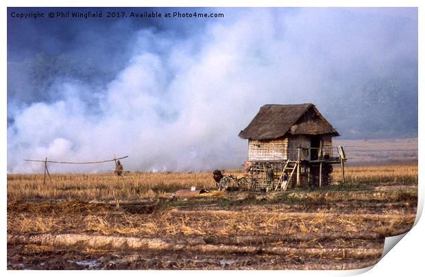 Burning stubble in Laos Print by Phil Wingfield