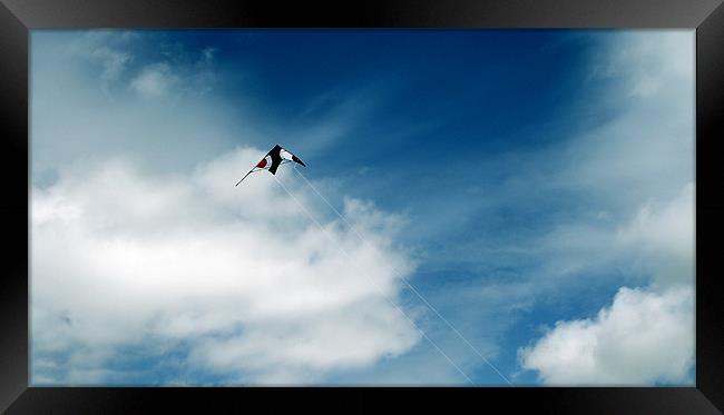 Fly A Kite Framed Print by Donna Collett