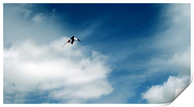 Fly A Kite Print by Donna Collett