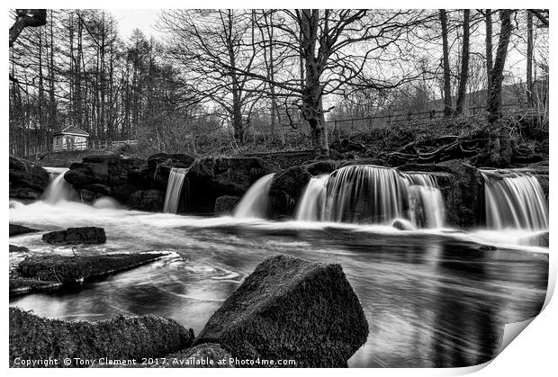 Cascade Print by Tony Clement