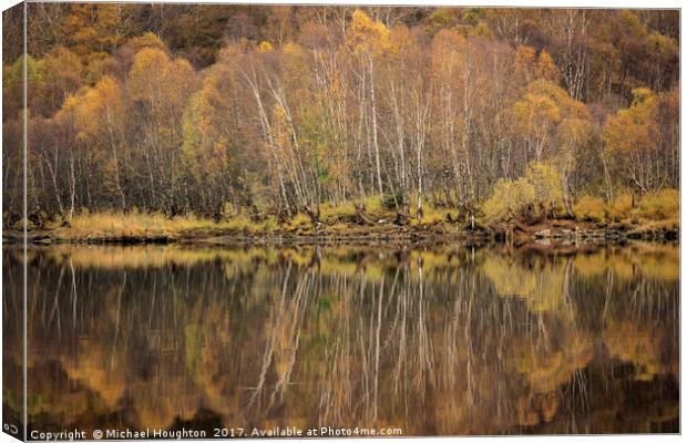 Autumn birch reflections Canvas Print by Michael Houghton
