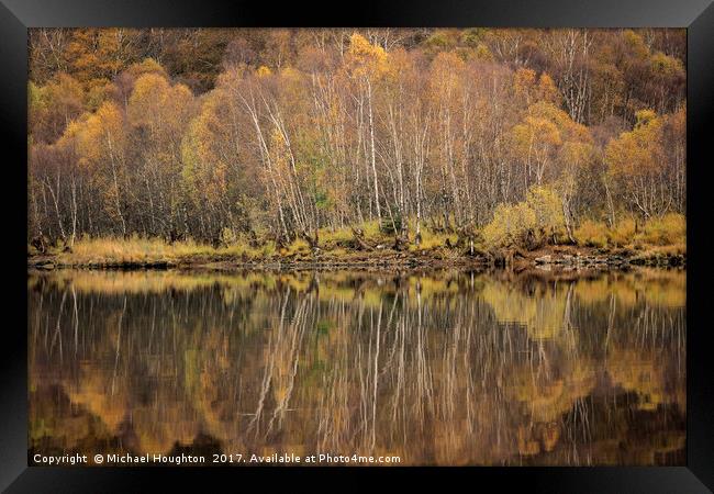 Autumn birch reflections Framed Print by Michael Houghton