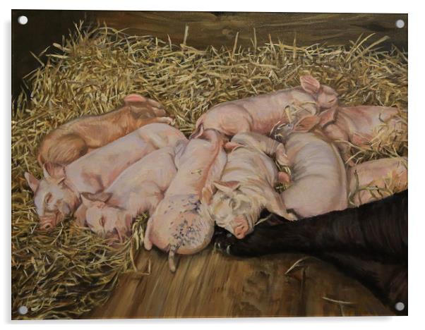 Piglets Oil Painting print Acrylic by Linda Lyon