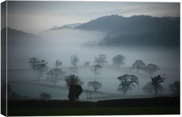 Misty Trees Canvas Print by Dave Bell