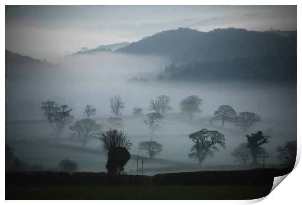 Misty Trees Print by Dave Bell