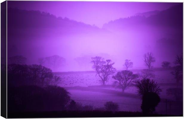 Purple Filter Mist Canvas Print by Dave Bell
