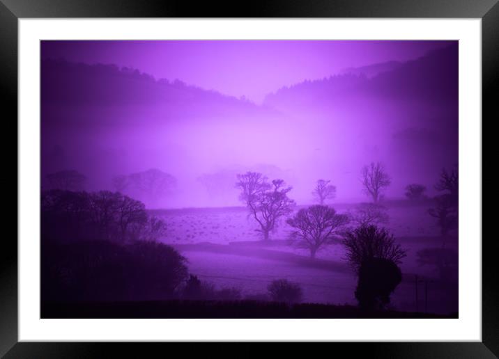 Purple Filter Mist Framed Mounted Print by Dave Bell