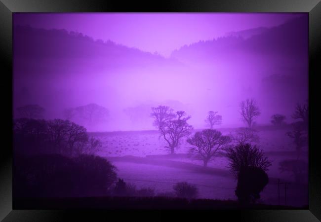 Purple Filter Mist Framed Print by Dave Bell