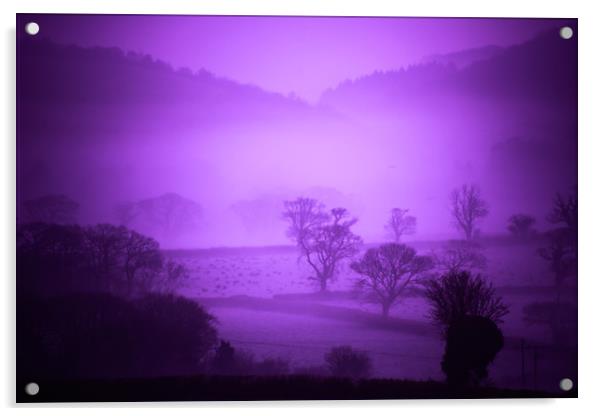 Purple Filter Mist Acrylic by Dave Bell