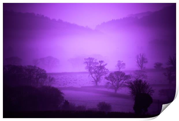 Purple Filter Mist Print by Dave Bell