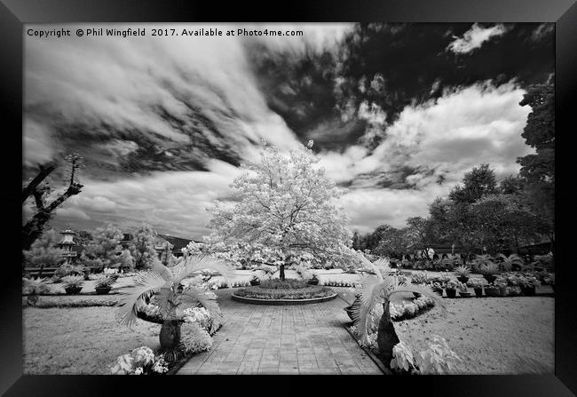 Garden of the Cau Dai Cathedral nr Saigon Framed Print by Phil Wingfield