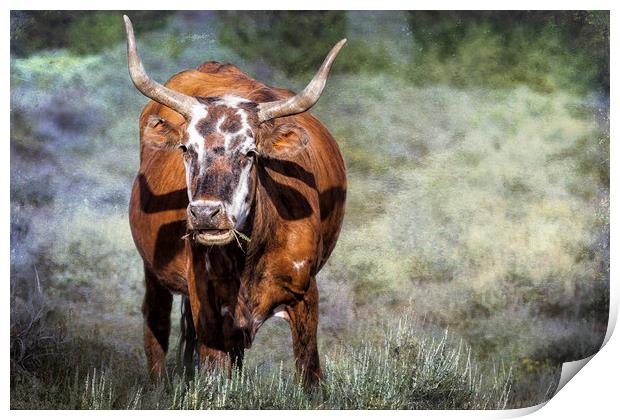 Pretty Female Cow with Horns Print by Belinda Greb