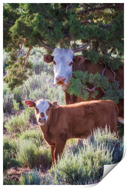 Cow and Calf Print by Belinda Greb