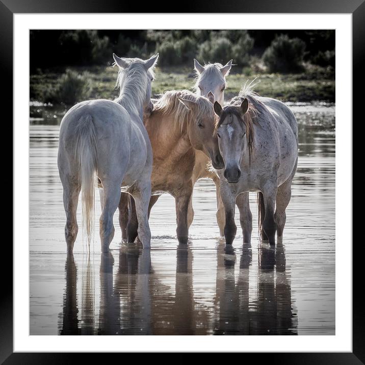 Family Time Sq Framed Mounted Print by Belinda Greb