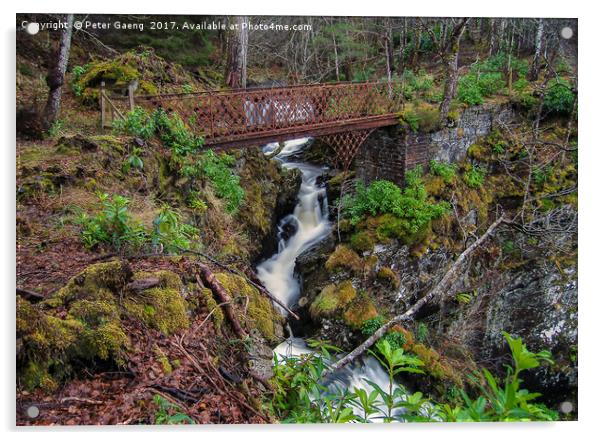 Rusty bridge in Glen Affric Acrylic by Peter Gaeng