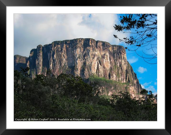 Tepui Framed Mounted Print by Milton Cogheil