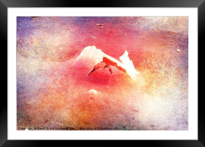 Icy Dreams Framed Mounted Print by Randi Grace Nilsberg