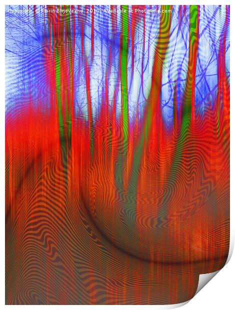 Wood Oscillations                   Print by Florin Birjoveanu