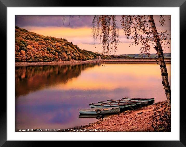 "EVENING LIGHT ON TUNSTALL RESERVOIR" Framed Mounted Print by ROS RIDLEY