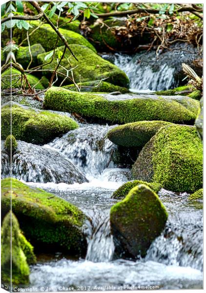 Cool Mountain Stream in Spring Canvas Print by John Chase