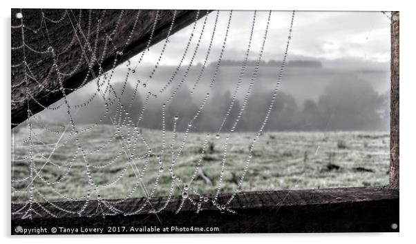 Dew on a cobweb Acrylic by Tanya Lowery
