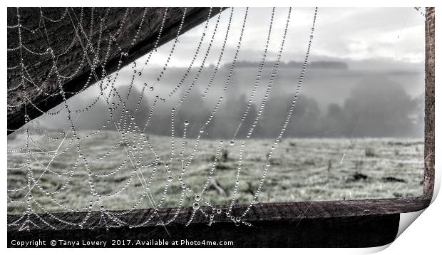 Dew on a cobweb Print by Tanya Lowery