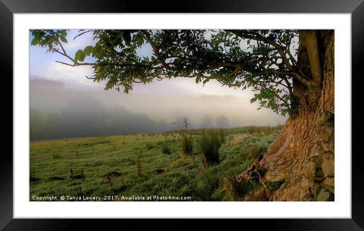 Misty Morning Framed Mounted Print by Tanya Lowery