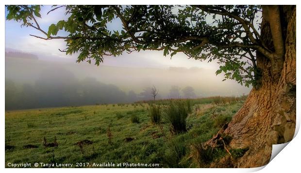 Misty Morning Print by Tanya Lowery