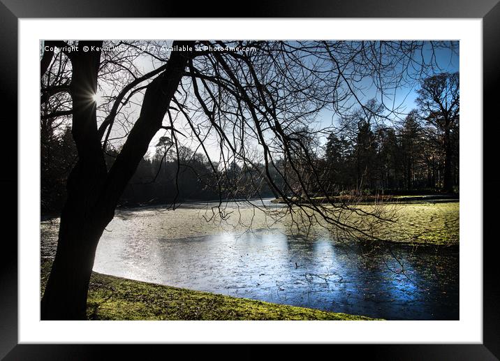 winter sunlight  Framed Mounted Print by Kevin White