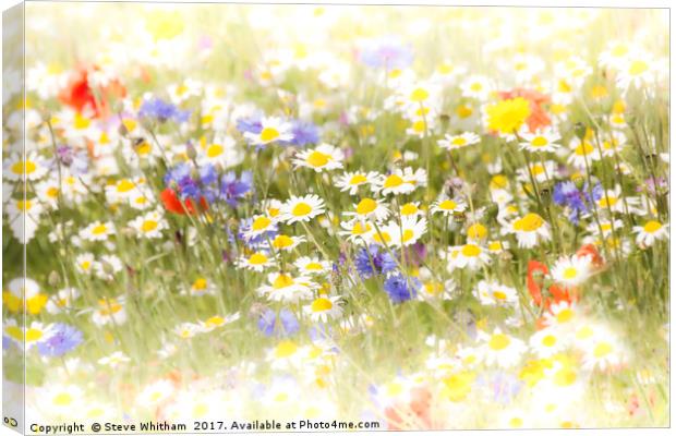 Dreamy meadow Canvas Print by Steve Whitham