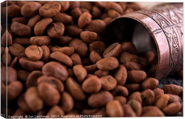 Coffee seeds with traditional grinder Canvas Print by Ian Leishman