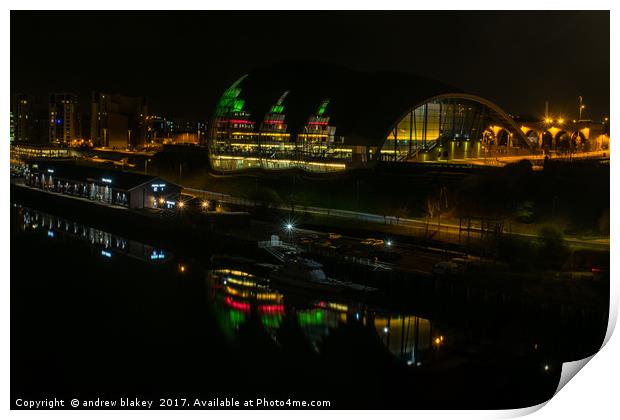 Sage Reflections Print by andrew blakey