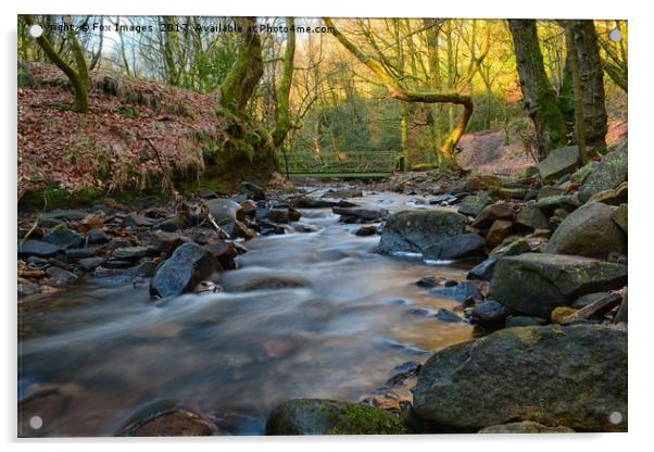 Cheesden Brook lancashire Acrylic by Derrick Fox Lomax