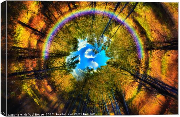 rainbow eye of the forest Canvas Print by Paul Boazu