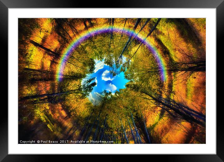 rainbow eye of the forest Framed Mounted Print by Paul Boazu