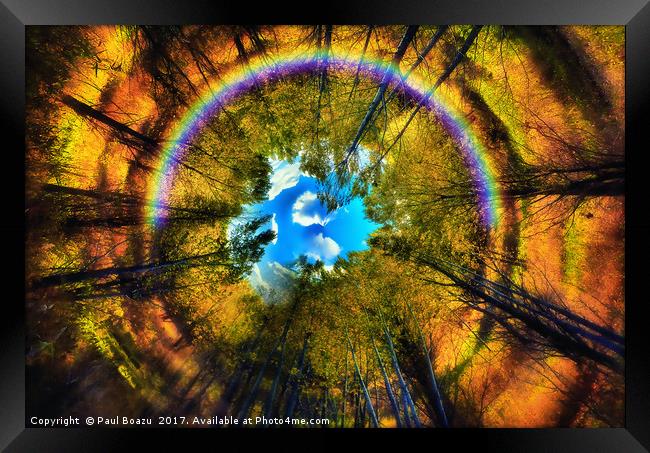 rainbow eye of the forest Framed Print by Paul Boazu
