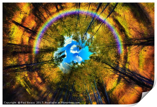 rainbow eye of the forest Print by Paul Boazu