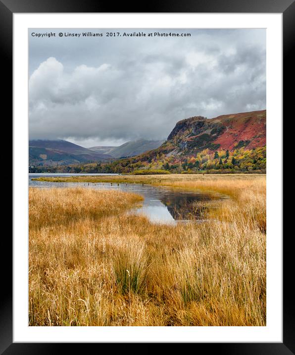 Derwentwater Framed Mounted Print by Linsey Williams