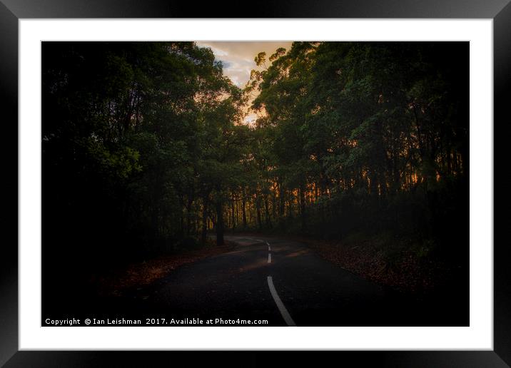 Winding wet road into forrest Framed Mounted Print by Ian Leishman