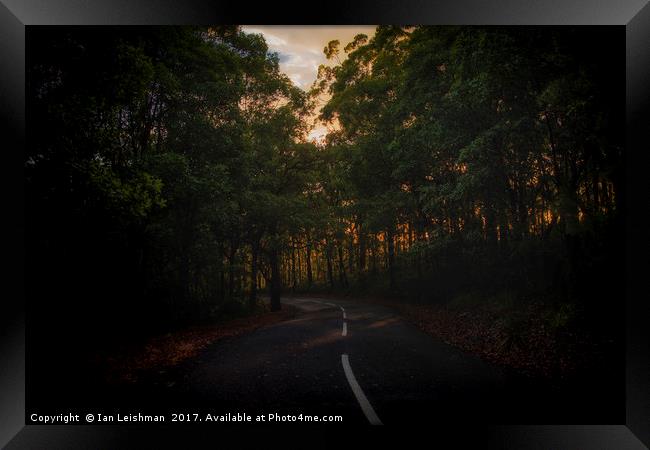 Winding wet road into forrest Framed Print by Ian Leishman