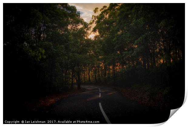 Winding wet road into forrest Print by Ian Leishman