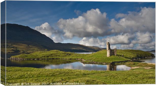 Ardvreck castle reflection Canvas Print by Tom Dolezal