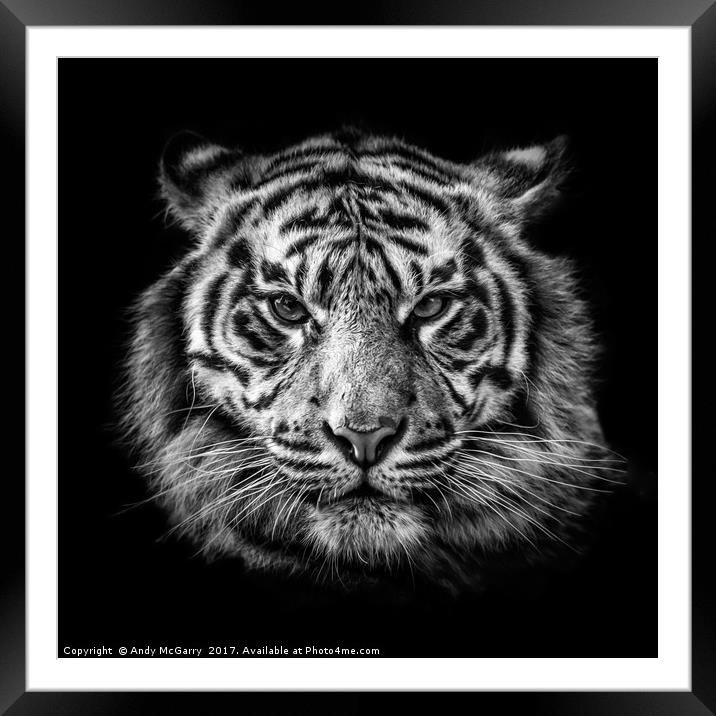 Tiger Portrait Framed Mounted Print by Andy McGarry