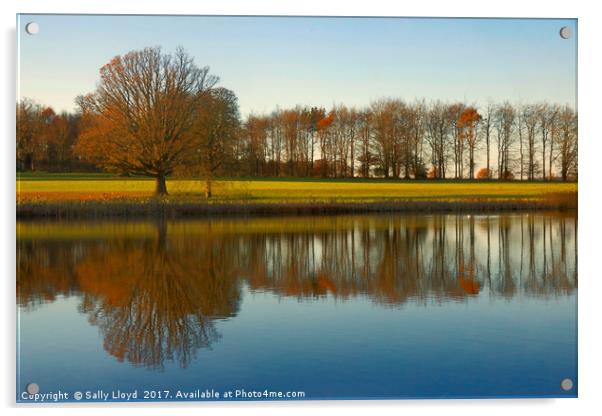 Reflections at Blickling in Norfolk  Acrylic by Sally Lloyd
