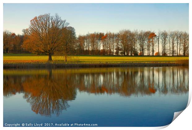 Reflections at Blickling in Norfolk  Print by Sally Lloyd