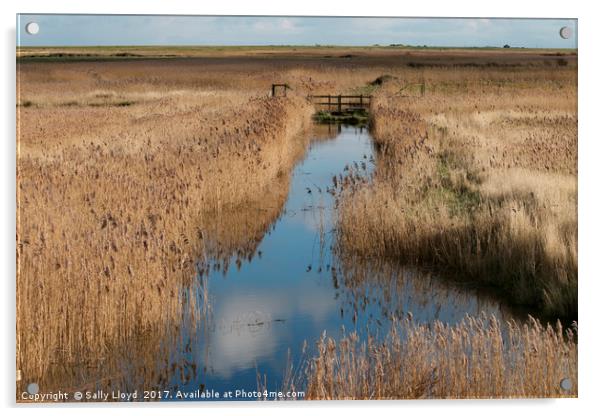 Blakeney Marshes Norfolk  Acrylic by Sally Lloyd