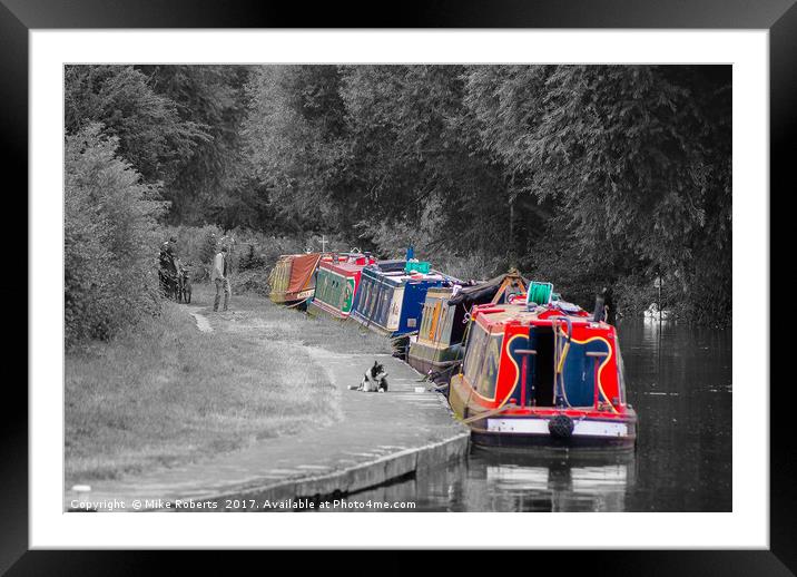 A Splash of Colour Framed Mounted Print by Mike Roberts