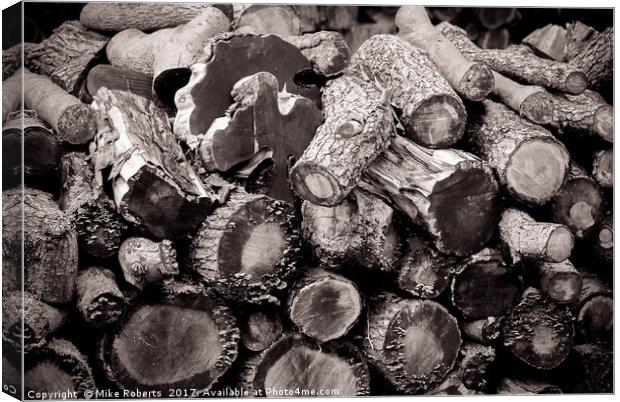 Textures in Timber Canvas Print by Mike Roberts