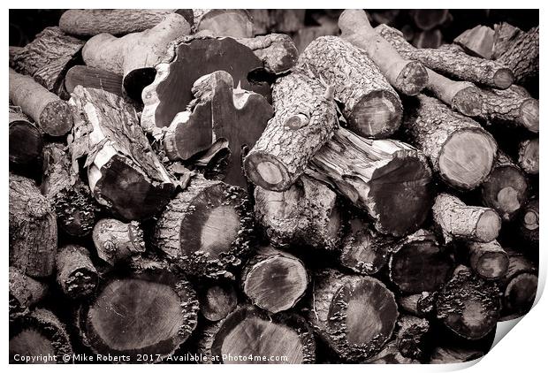 Textures in Timber Print by Mike Roberts