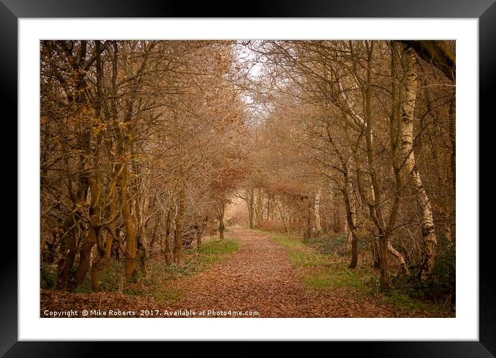 Autumn Walk Framed Mounted Print by Mike Roberts